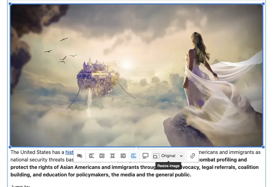 CKEditor5 image sizing